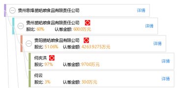 贵州息烽苗姑娘食品有限责任公司全方位信息概览