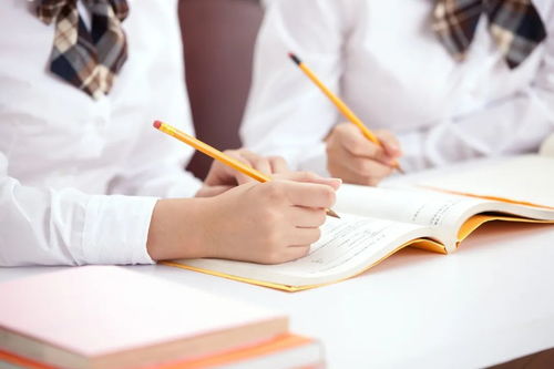 教育部严正声明 警惕虚假信息咨询，谨防上当受骗